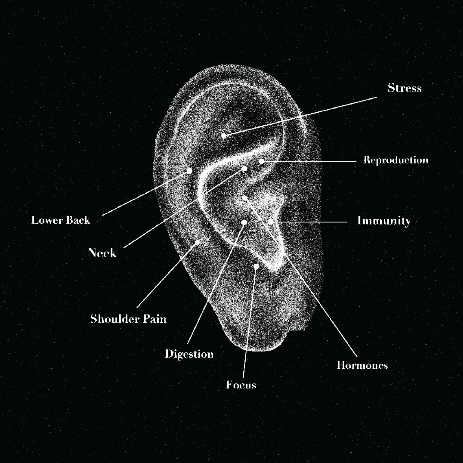 Discovering the Ancient Wisdom of Ear Seeds